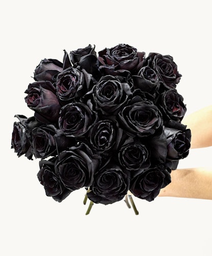 Stunning bouquet of deep black roses, elegantly arranged for a unique floral gift.