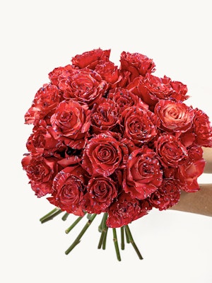 Vibrant bouquet of striking red roses held in hands, perfect for celebrations and love.