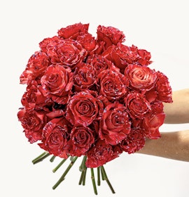 Vibrant bouquet of striking red roses held in hands, perfect for celebrations and love.