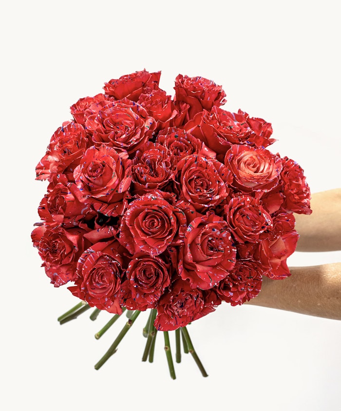 Vibrant bouquet of striking red roses held in hands, perfect for celebrations and love.