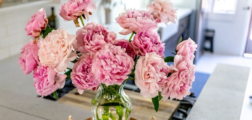 A beautiful arrangement of pink peonies in a glass vase, brightening up a kitchen space.