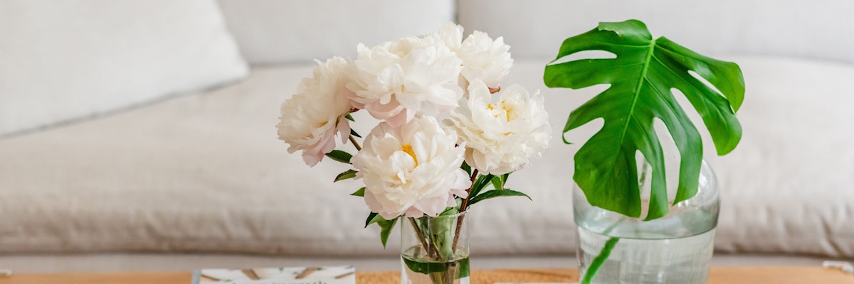 Elegant bouquet of white peonies in a glass vase next to a vibrant green leaf.