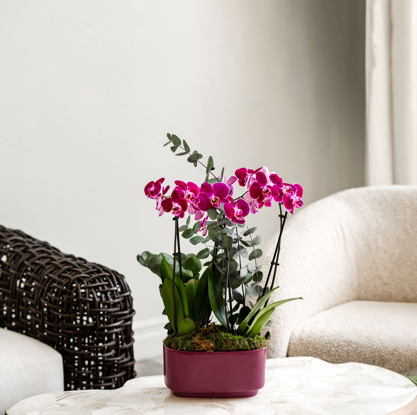A vibrant purple orchid arrangement in a stylish pot, enhancing modern home decor.