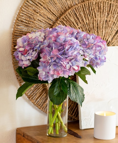 Vibrant hydrangea bouquet in shades of purple and pink, elegantly arranged in a clear vase.