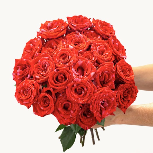 A stunning bouquet of vibrant red roses held delicately, perfect for romantic occasions.
