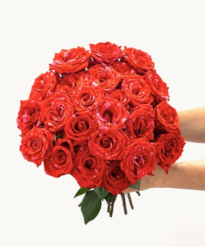 A stunning bouquet of vibrant red roses held delicately, perfect for romantic occasions.