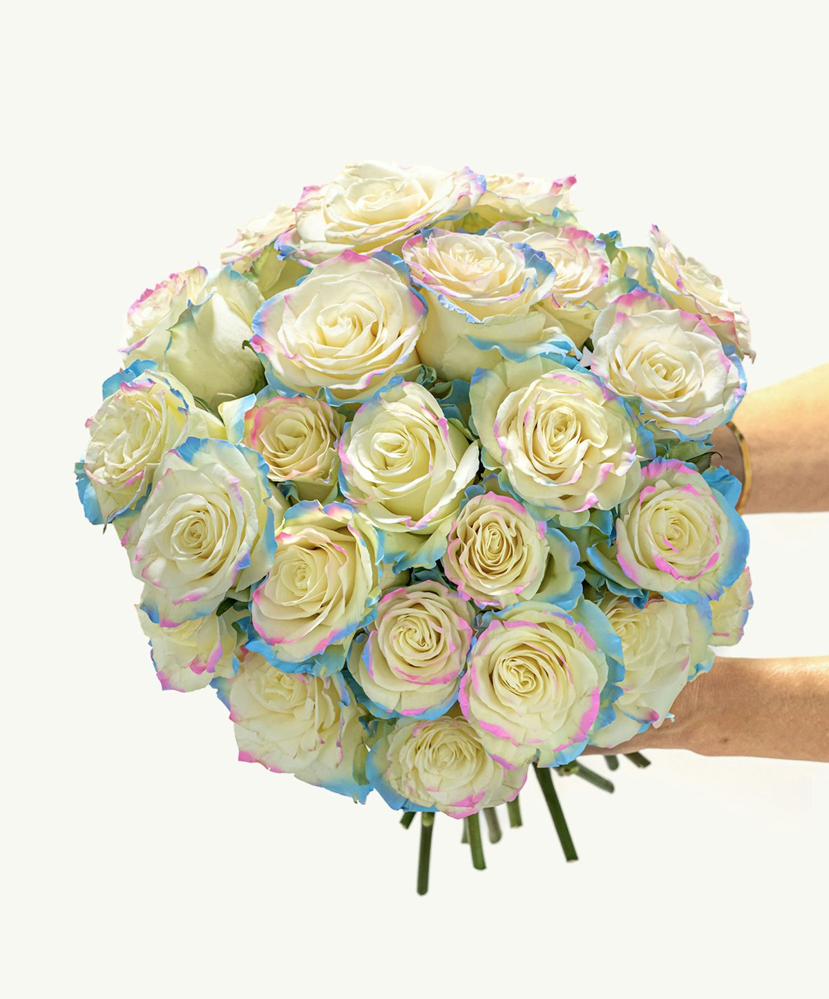 Fairy Tale Roses