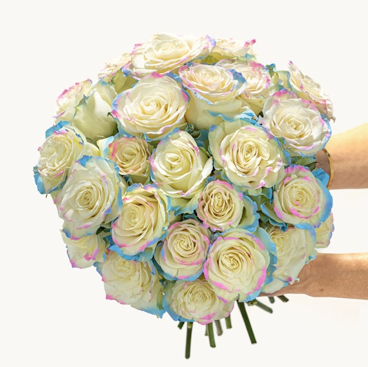 A vibrant bouquet of pastel roses with colorful edges, perfect for any celebration.