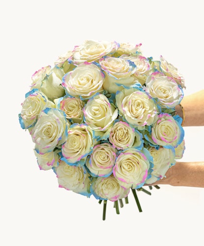 A vibrant bouquet of pastel roses with colorful edges, perfect for any celebration.