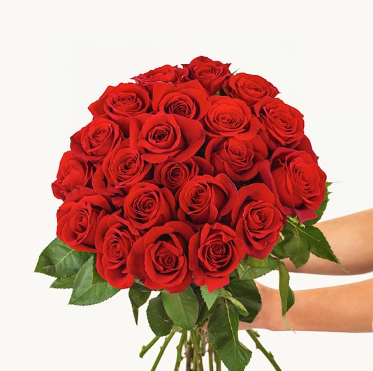 Safe Work Roses Pet-Safe Flowers & ASPCA-Approved Bouquets | BloomsyBox