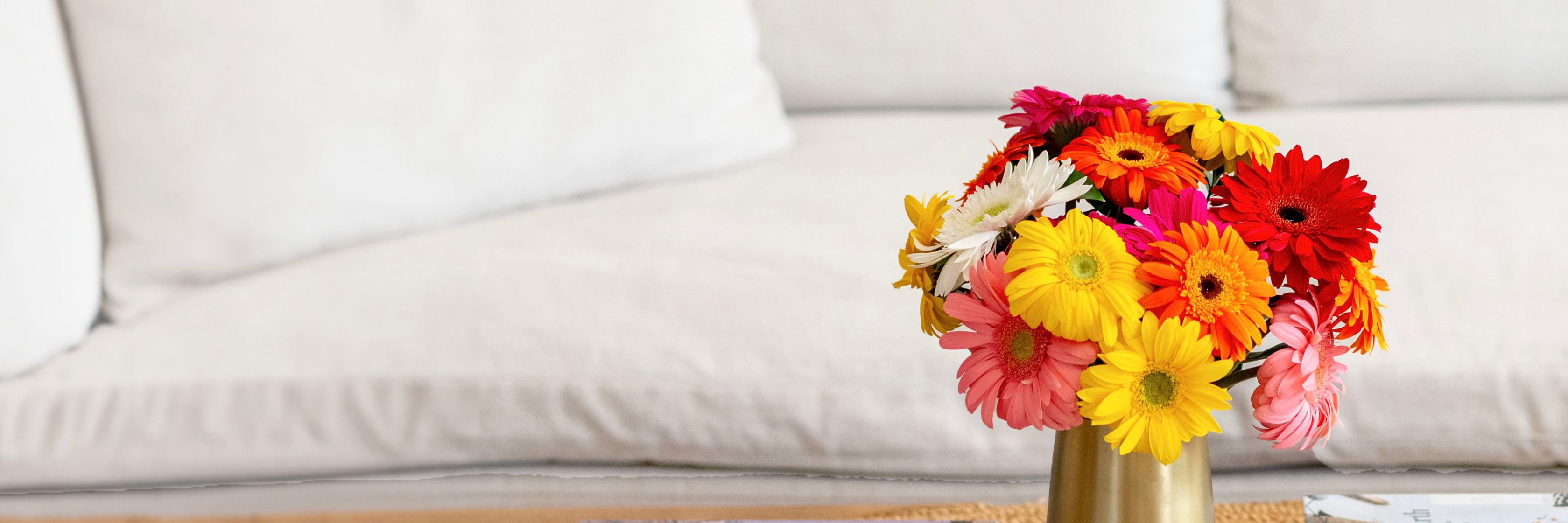 Bright and cheerful bouquet of vibrant gerbera daisies in a stylish vase on a coffee table.