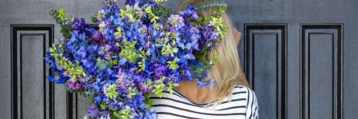 A vibrant bouquet of blue and purple blooms held by a woman against a dark door.