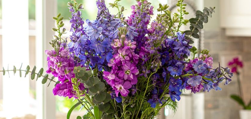 Vibrant purple and pink flower bouquet featuring delphiniums and eucalyptus leaves.