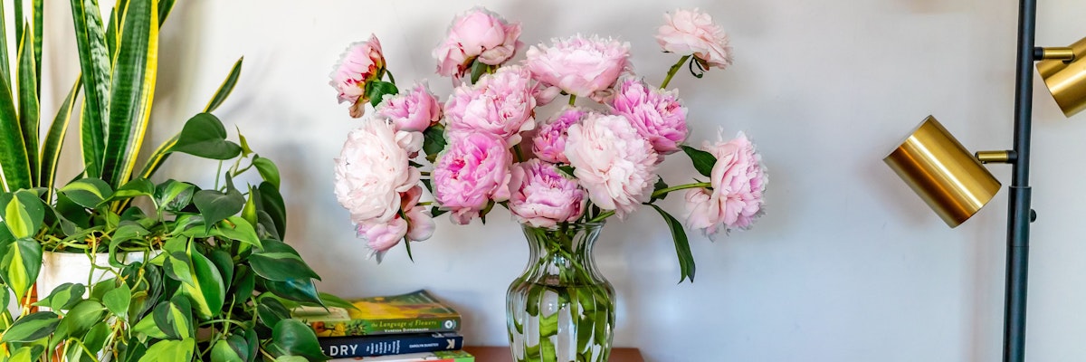A lush vase of pink peonies accented by greenery, enhancing any home decor.