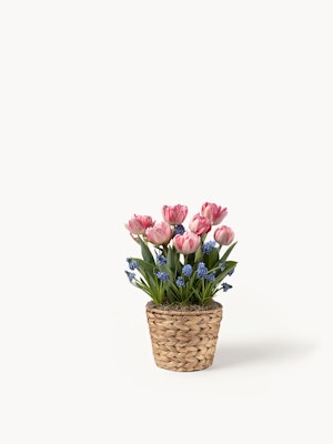 Charming pink tulips and blue flowers arranged in a woven basket for a delightful display.