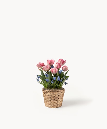 Charming pink tulips and blue flowers arranged in a woven basket for a delightful display.