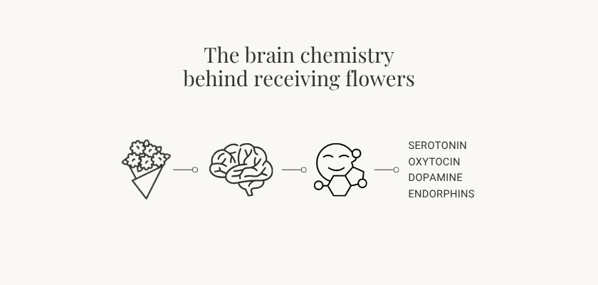 Illustration depicting the positive brain chemistry effects of receiving flowers.