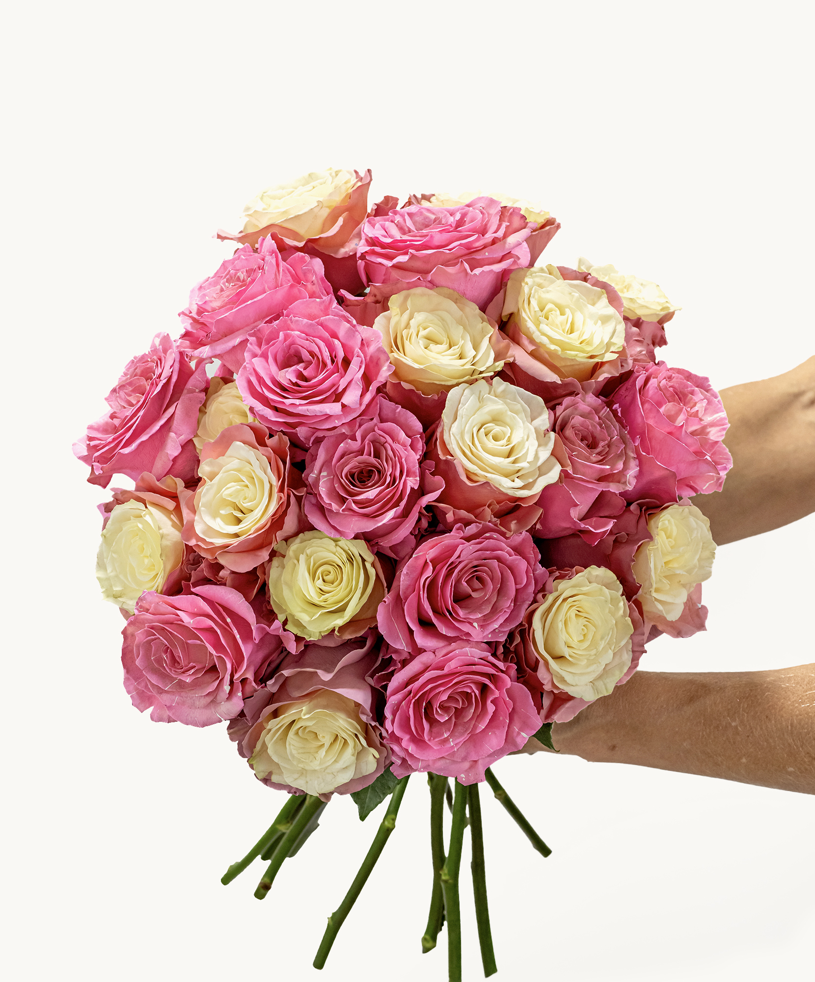 Vibrant bouquet of pink and white roses, ideal for celebrations and special moments.