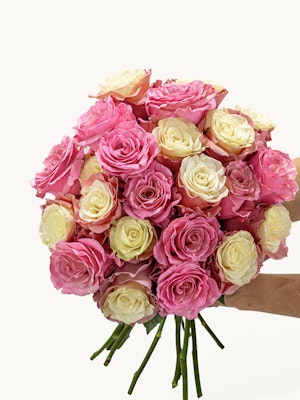 Vibrant bouquet of pink and white roses, ideal for celebrations and special moments.