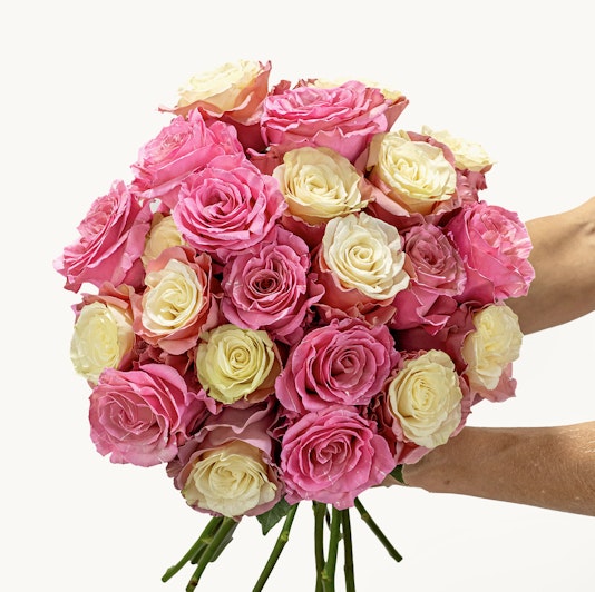Vibrant bouquet of pink and white roses, ideal for celebrations and special moments.