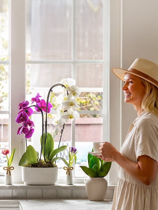 A woman in a hat enjoys coffee beside vibrant orchids in a sunny window.