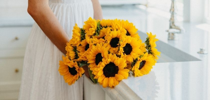 A vibrant bouquet of sunflowers, symbolizing joy and warmth, resting on a kitchen countertop.