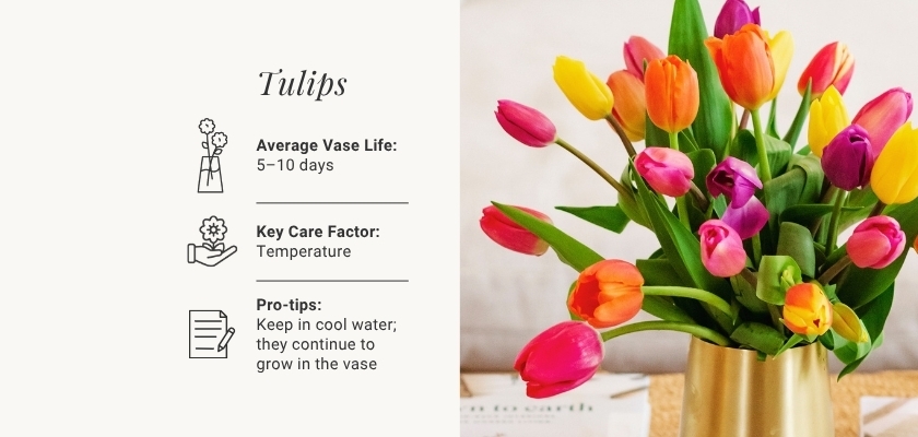 Vibrant tulip bouquet featuring a mix of colors, perfect for brightening any space.