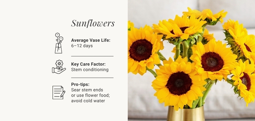 Bright sunflowers in a vase, showcasing vibrant petals and essential care tips for longevity.