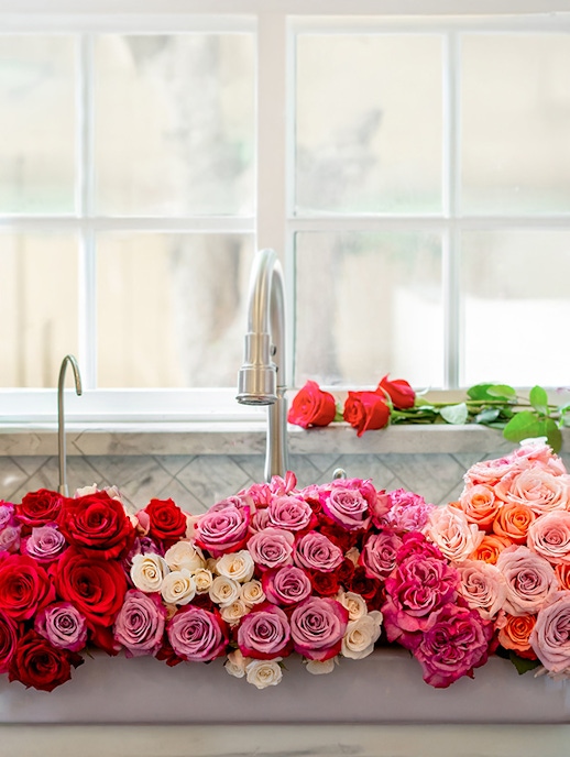 Vibrant display of mixed roses in shades of red, pink, and cream, washed fresh in a sink.
