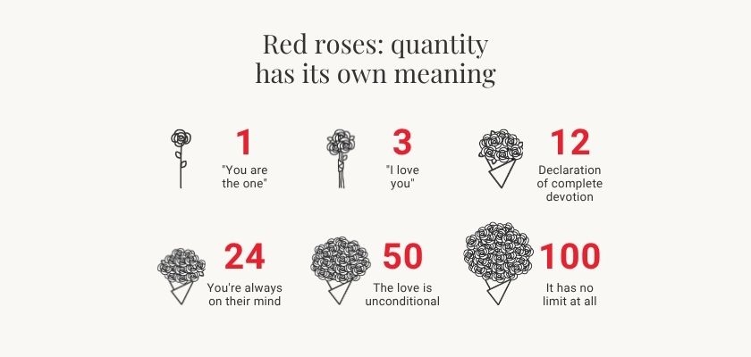 Visual guide illustrating the meanings of red rose quantities in romantic gestures.