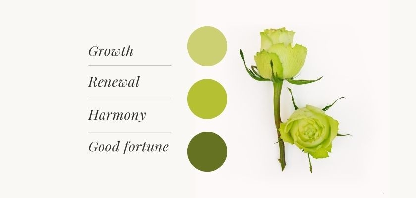 Delicate green roses symbolizing growth and harmony, perfect for fresh beginnings.