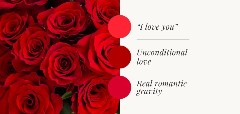 Vibrant red roses symbolize love, featuring heartfelt messages about romance and devotion.