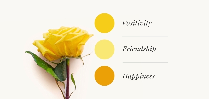 Vibrant yellow rose symbolizing positivity, friendship, and happiness in floral design.