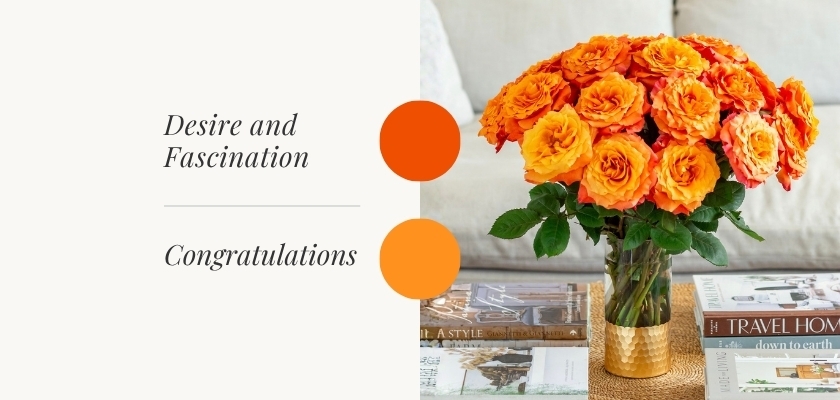Vibrant orange roses symbolizing desire and fascination, perfect for congratulatory gifts.