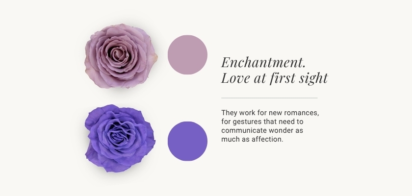 Elegant lavender roses paired with soft purple accents, embodying romance and affection.