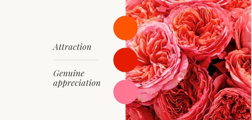 Vibrant pink and coral roses symbolize attraction and appreciation in floral art.