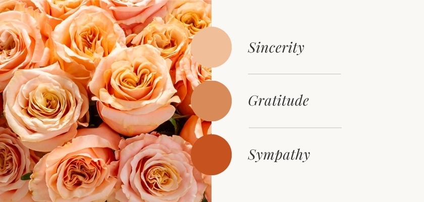 A close-up of peach roses symbolizing sincerity, gratitude, and sympathy in a floral arrangement.