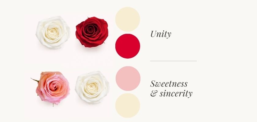 Elegant rose colors symbolize unity, sweetness, and sincerity in a beautiful floral display.