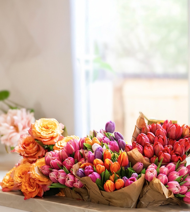 A vibrant assortment of tulips in various colors, beautifully arranged for any occasion.