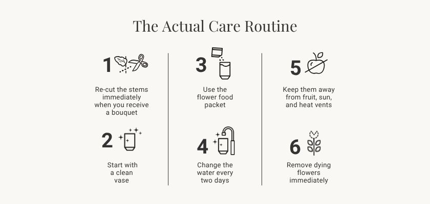 Step-by-step flower care routine for maintaining your bouquet's freshness and beauty.