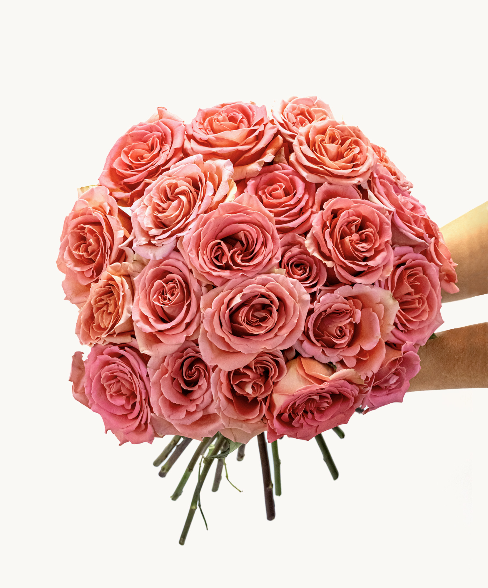 Garden Kiss: Coral Pink Roses Bouquet | BloomsyBox