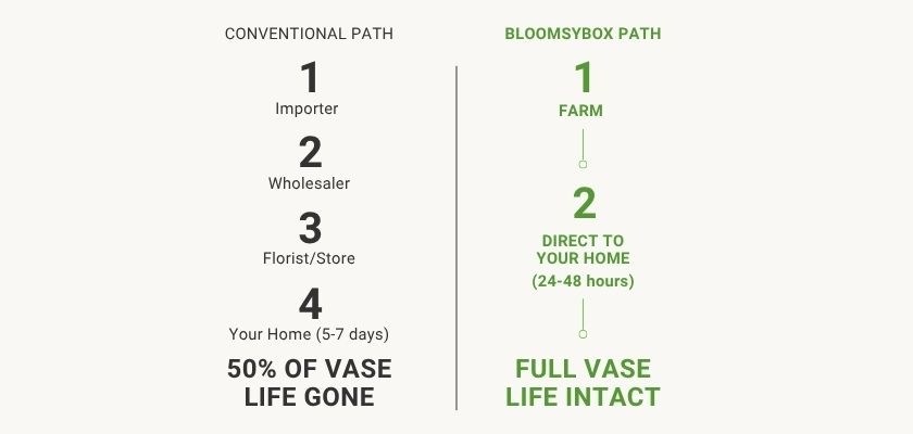 Comparison of conventional and BloomsyBox flower delivery paths, highlighting freshness and efficiency.