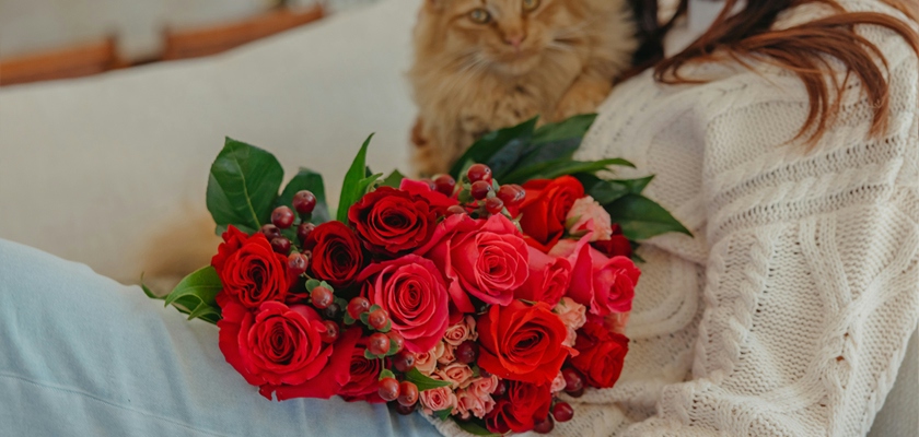 Vibrant bouquet of red roses and pink flowers, beautifully held by a woman with a cat.