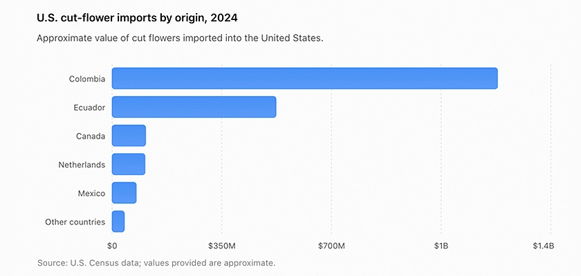 Bar graph depicting U.S. cut flower imports by origin for 2024, highlighting Colombia's dominance.