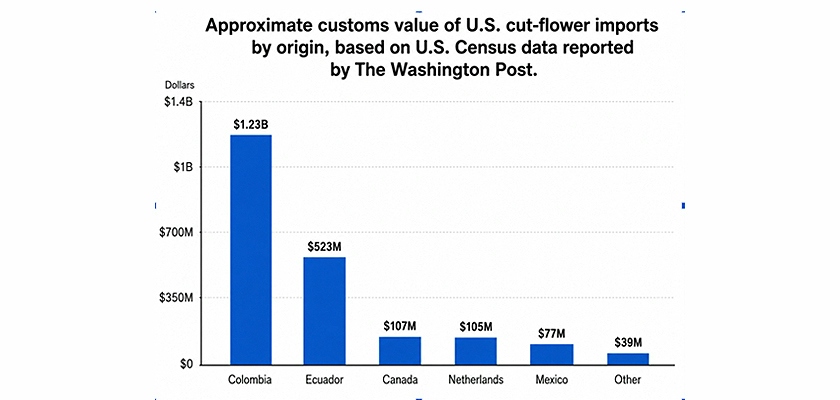 Chart illustrating the U.S. cut flower import values by country, highlighting Colombia's dominance.