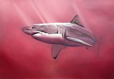 shark oil painting lake hillier by stuart mcconaghy