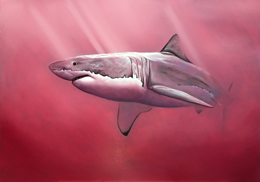 shark oil painting lake hillier by stuart mcconaghy