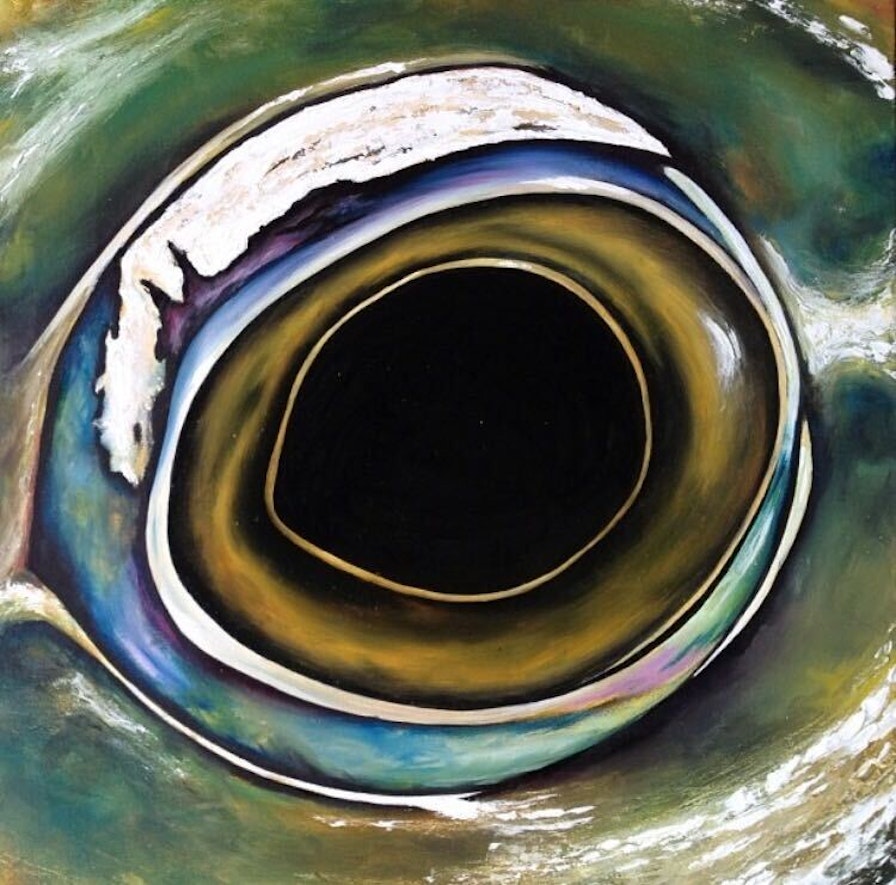 don koyote album cover painting