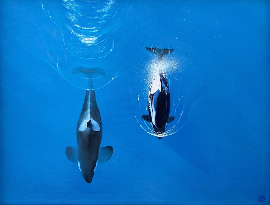 empty the tanks orca oil painting by stuart mcconaghy