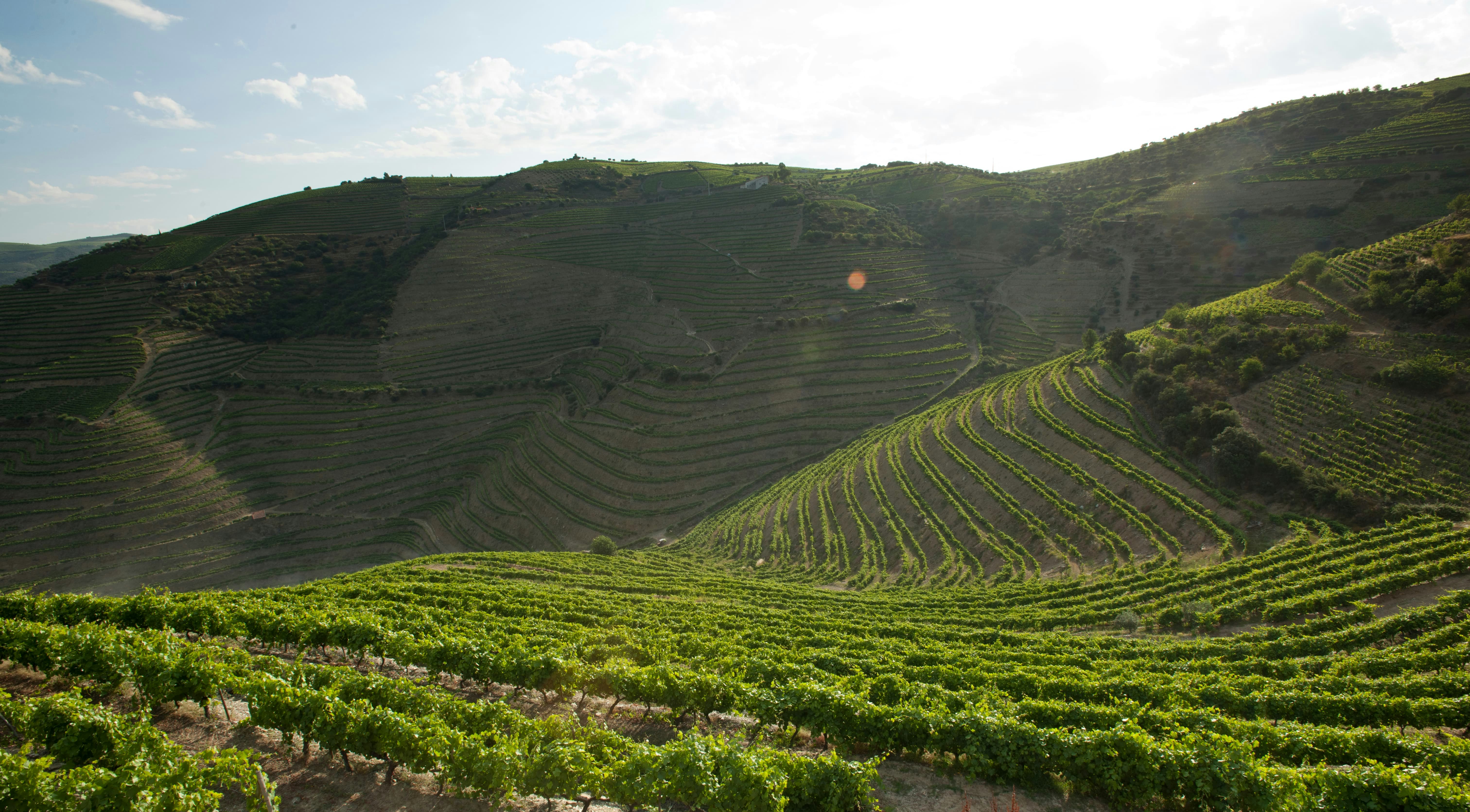 quinta do vau